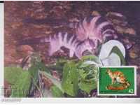 Postcard FDC Exotic Predators Animals Fauna