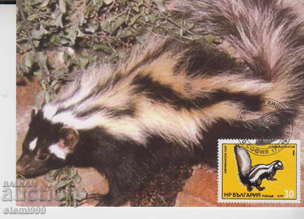 Пощенска карта FDC Екзотични хищници Животни Фауна