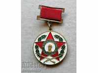 Insignă cu email Academia Militară medalie insignă