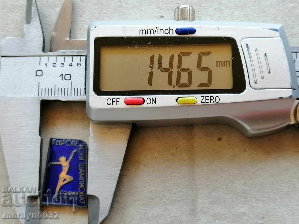 Auction  Badge Badge European Championship NRB Badge