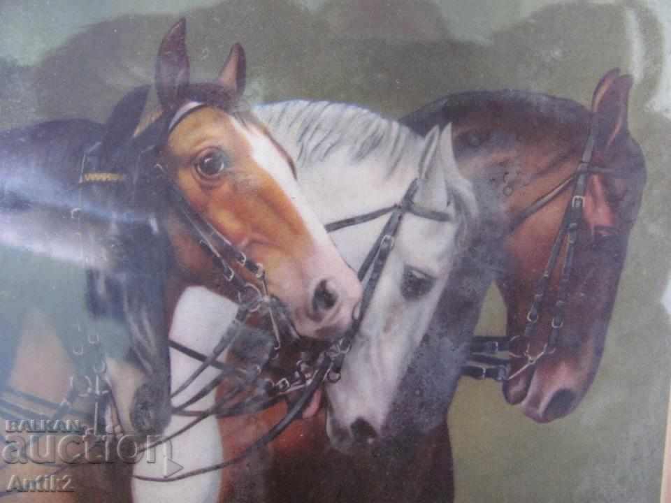 30-piece Color Lithograph - Horses Germany with price 40.00 BGN | € 20.45 30-piece Color Lithograph - Horses Germany with price 40.00 BGN | € 20.45