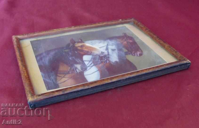 Auction 30-piece Color Lithograph - Horses Germany Auction 30-piece Color Lithograph - Horses Germany