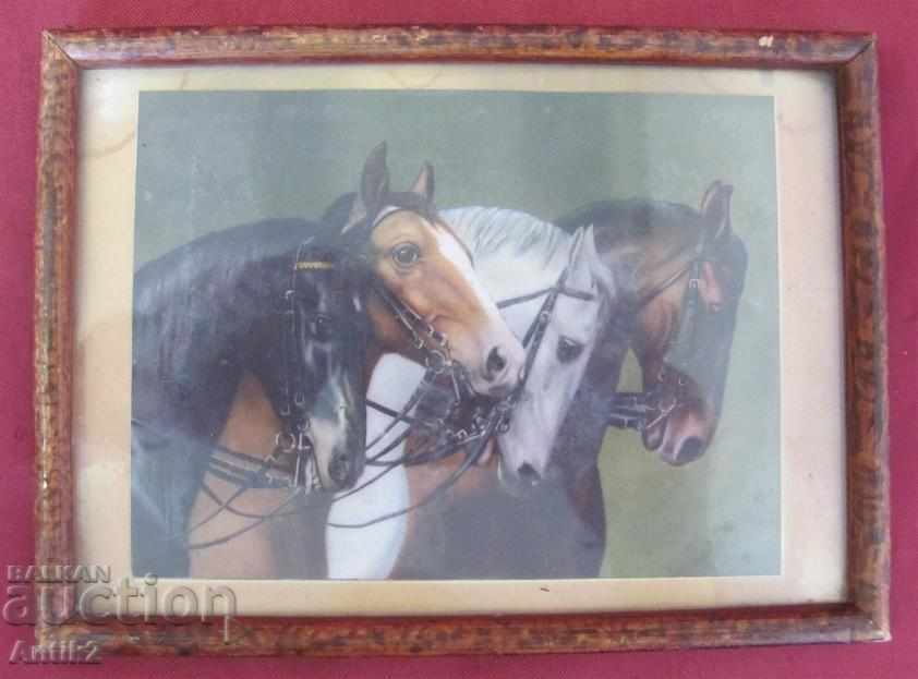 30-piece Color Lithograph - Horses Germany 30-piece Color Lithograph - Horses Germany