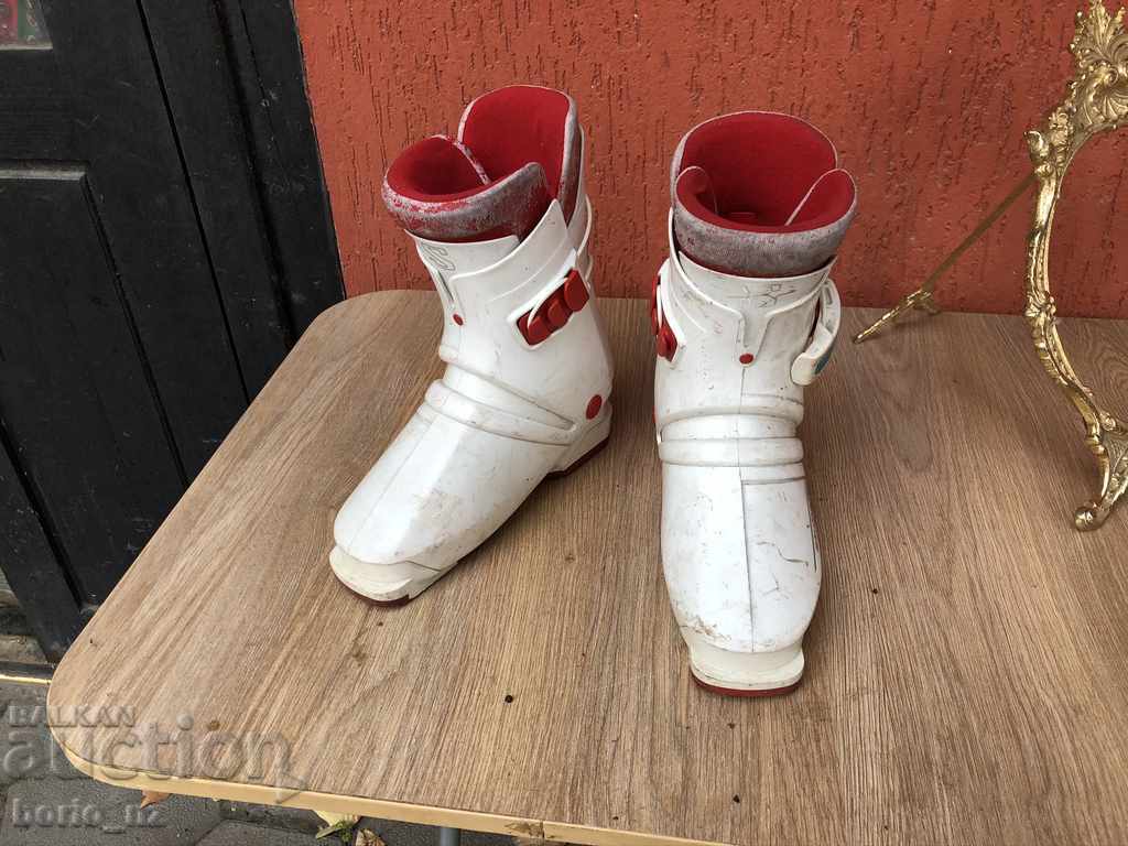 10095. ÎNCĂRCĂRI SKI cu preț 35.00 BGN | € 17.90