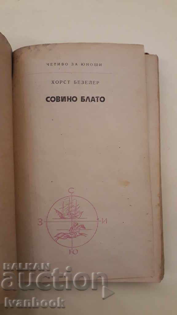 Auction Library - Adolescent Reader - Owl Swamp Auction Library - Adolescent Reader - Owl Swamp