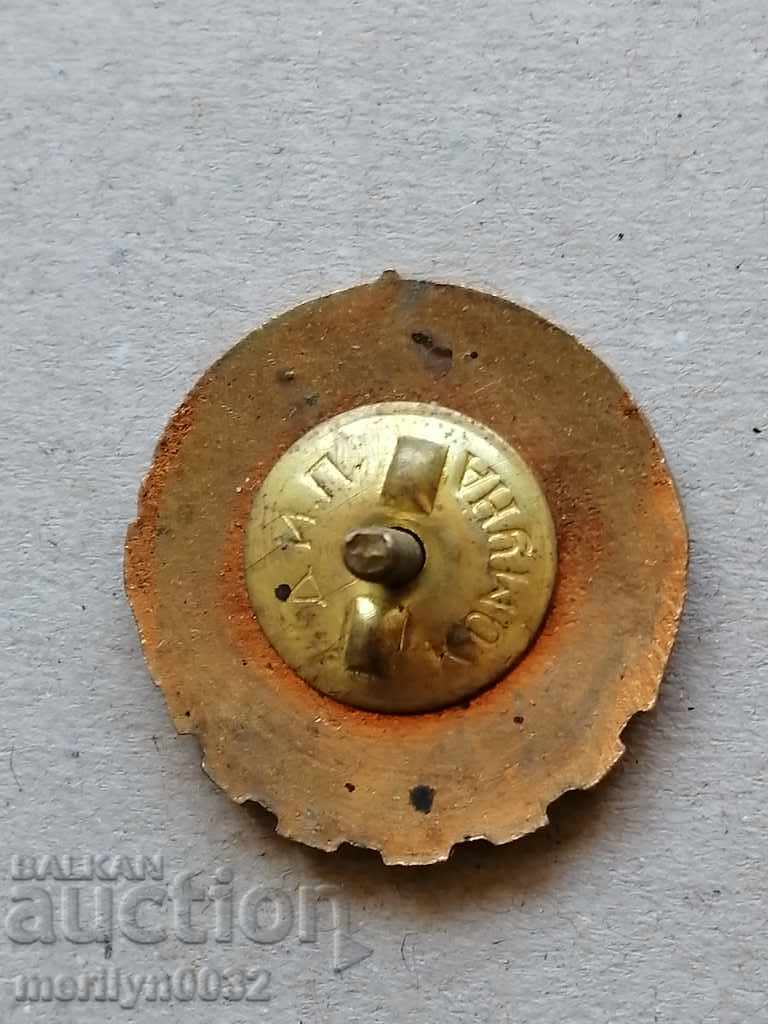 Breastplate Medal Badge Badge with price 38.00 BGN | € 19.43 Breastplate Medal Badge Badge with price 38.00 BGN | € 19.43