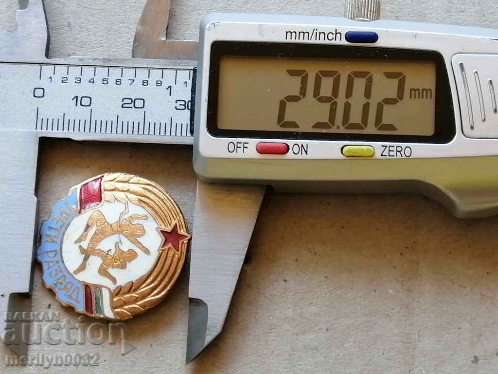 Breastplate Medal Badge Badge - 6 Breastplate Medal Badge Badge - 6