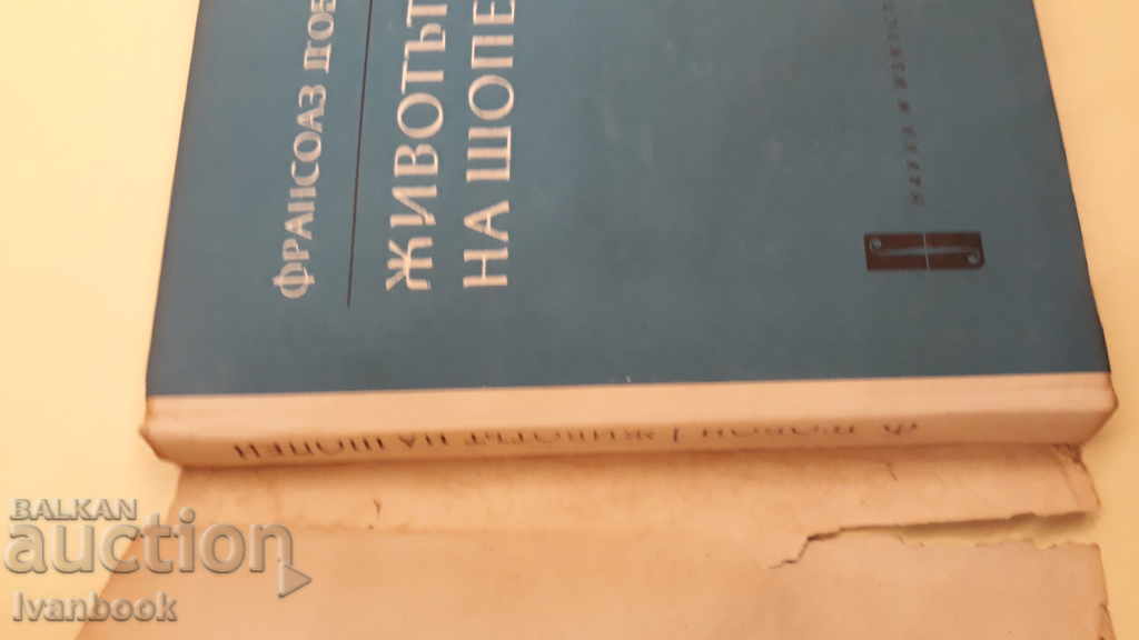 Auction Chopin's Life - Francoise Tobon Auction Chopin's Life - Francoise Tobon