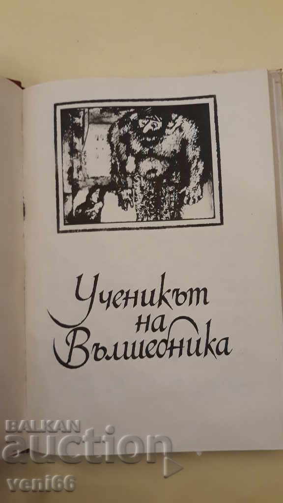 Livrarea Zdrența și norul - S. Prokofieva Livrarea Zdrența și norul - S. Prokofieva