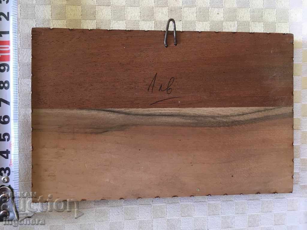 Livrarea UN FOTOGRAF DE CASĂ Veche PIROGRAF DE LEMN MOMA POLYANA