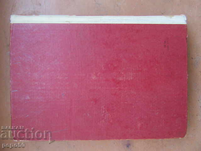 Auction Axis Nest - Katarina Lazarova - 1957 Auction Axis Nest - Katarina Lazarova - 1957