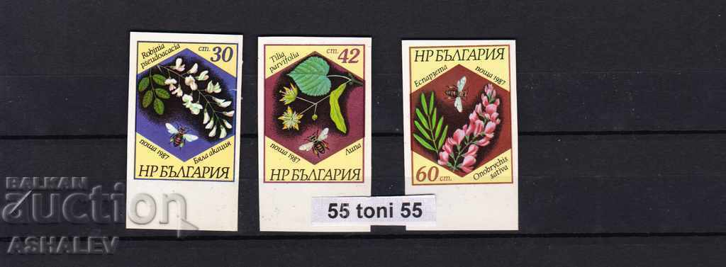 1988 Albine și Medon. extins compl. nedintat cu cauciuc