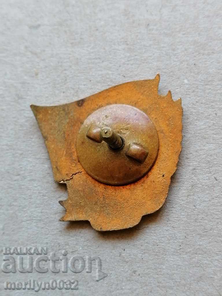 EXCELLENT BUILDER Badge MUCH Medal Badge with price 68.00 BGN | € 34.77 EXCELLENT BUILDER Badge MUCH Medal Badge with price 68.00 BGN | € 34.77