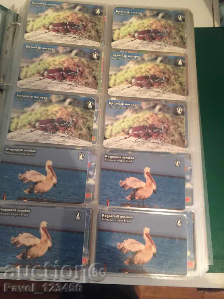 collection cards - 5 collection cards - 5