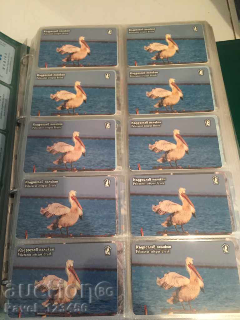 collection cards - 5 collection cards - 5