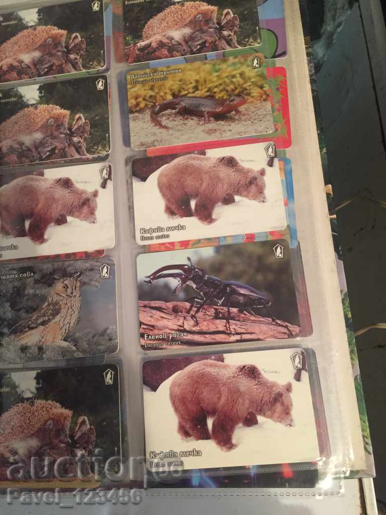 collection cards - 7 collection cards - 7