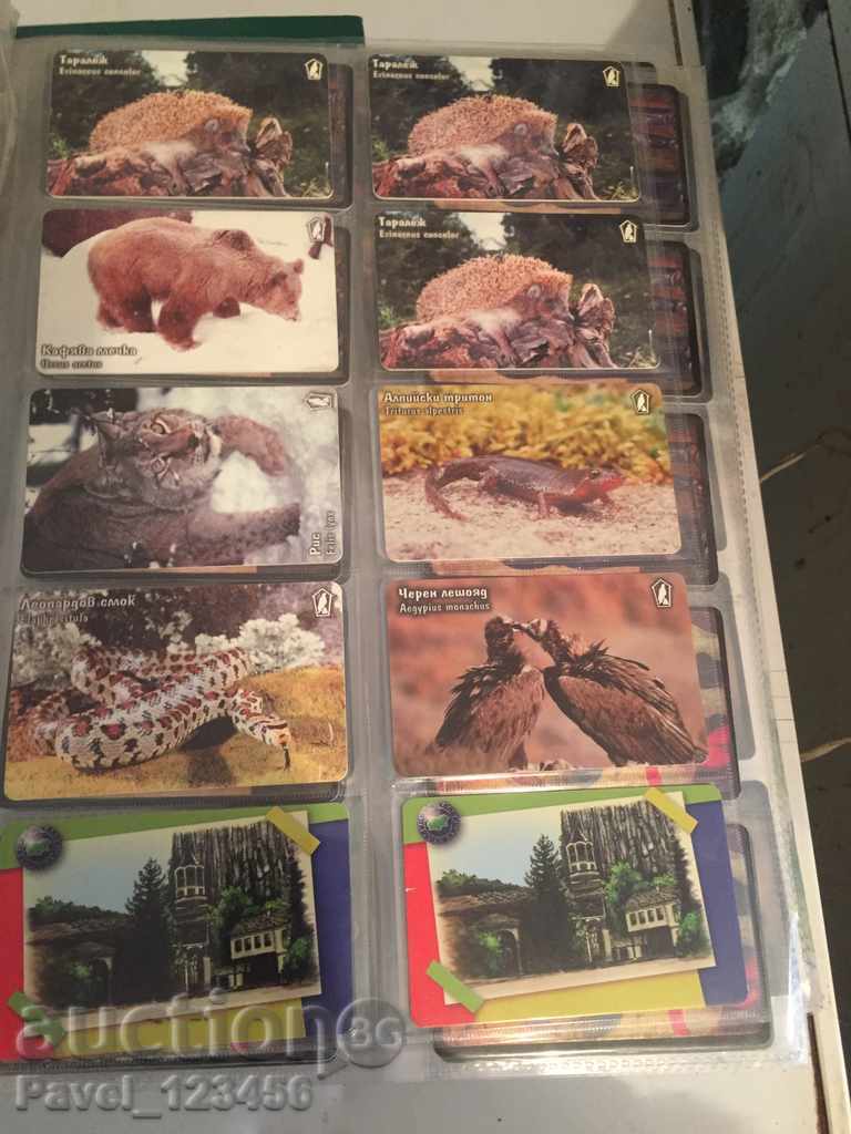 Delivery of collection cards Delivery of collection cards