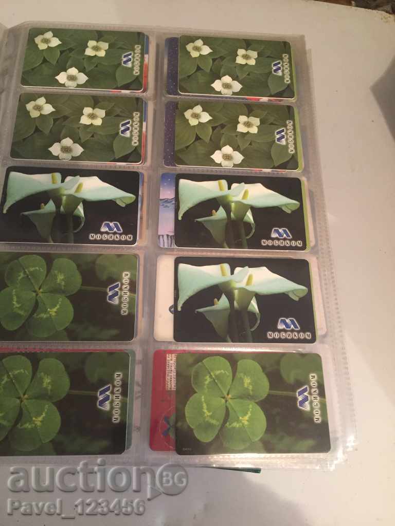 Auction collection cards Auction collection cards