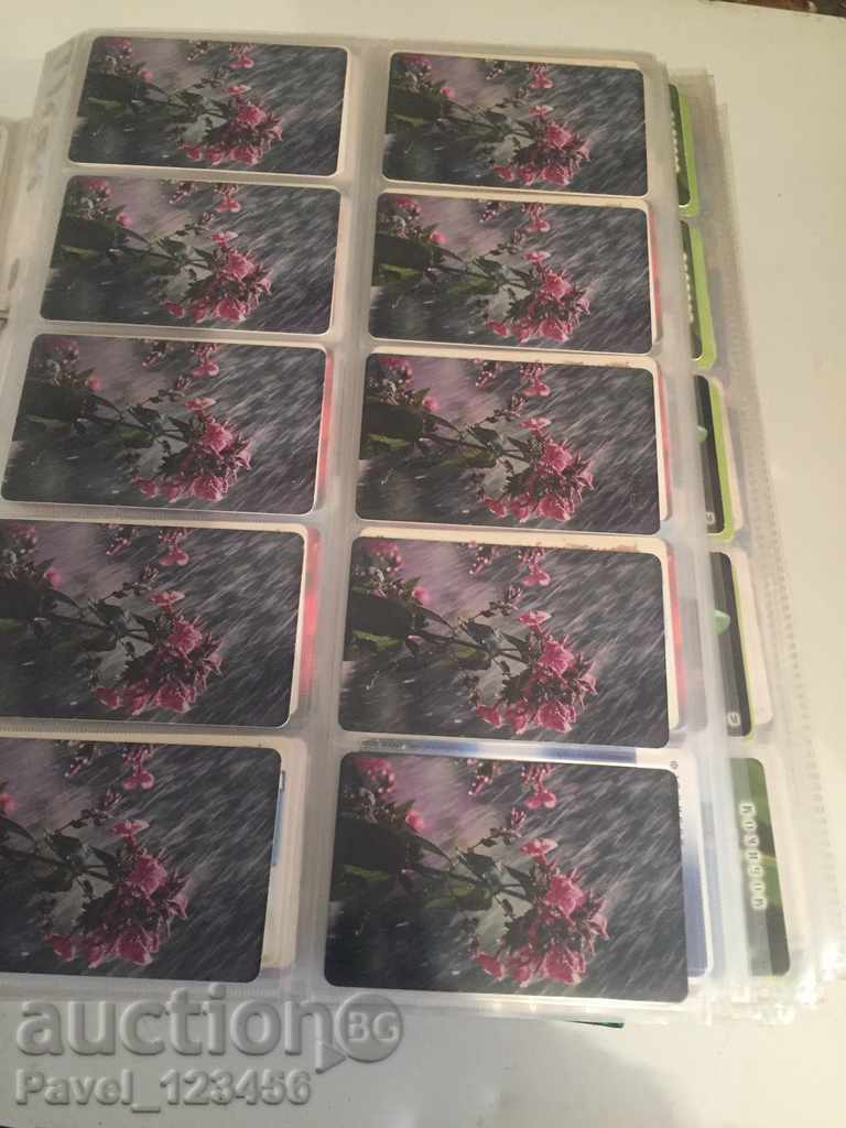 collection cards - 6 collection cards - 6