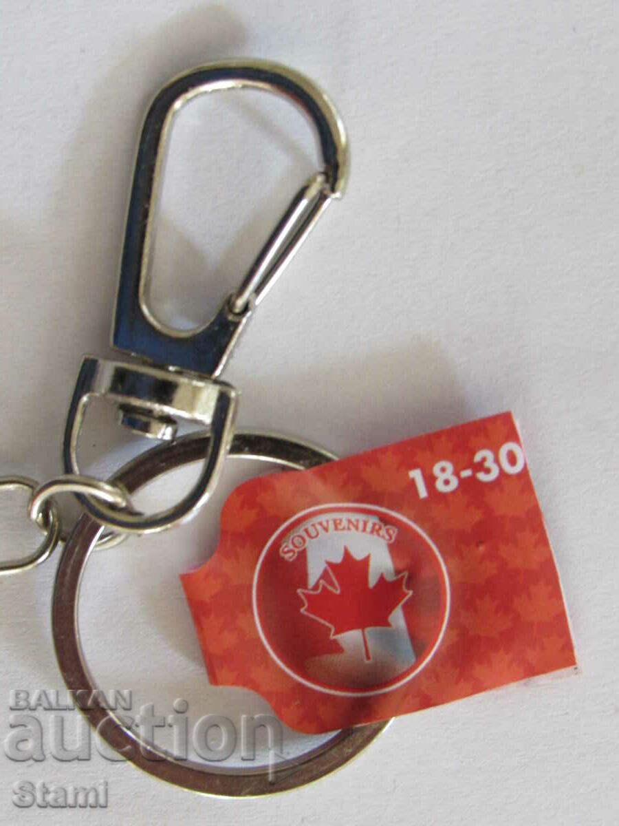 Delivery of Metal key chain from Canada-series-5 Delivery of Metal key chain from Canada-series-5