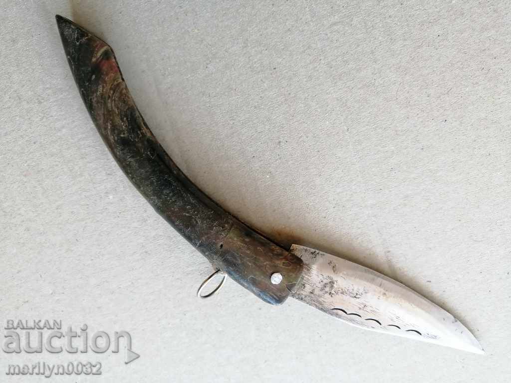 An old leg of a bull with buffalo horns with price 44.00 BGN | € 22.50