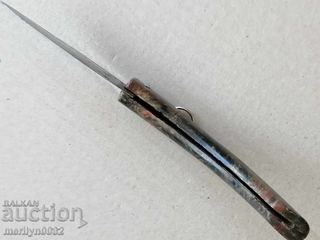 An old leg of a bull with buffalo horns - 5