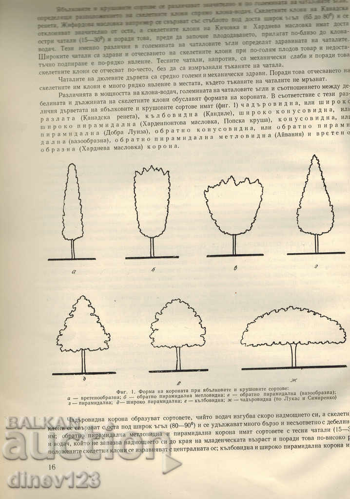 Delivery of BULGARIAN ASSISTANCE T. 1 - APPLE, PEAR, JULY Delivery of BULGARIAN ASSISTANCE T. 1 - APPLE, PEAR, JULY