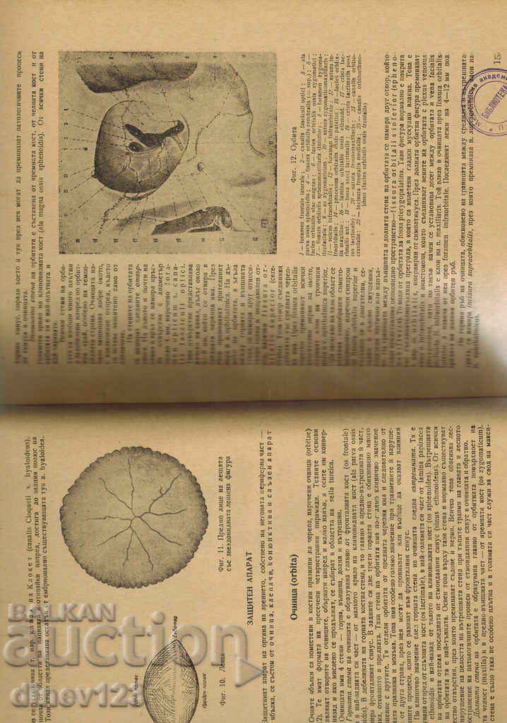 TUTORIALS FOR EYE DISEASES - D. DANIILOV - 7 TUTORIALS FOR EYE DISEASES - D. DANIILOV - 7