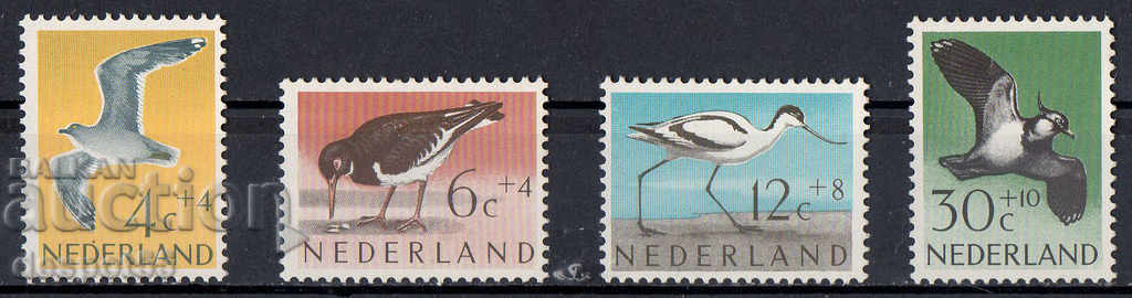 1961. Холандия. Благотворителни марки.