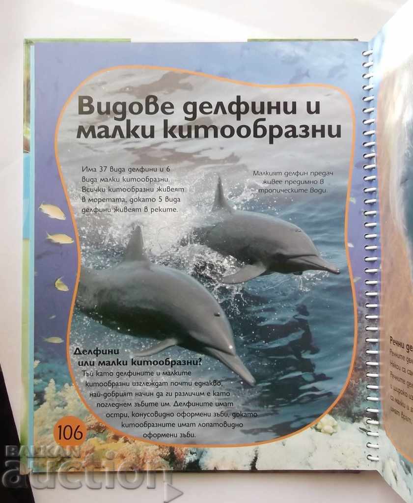 Delivery of In the Amazing Animal World - Sally Morgan 2009 Delivery of In the Amazing Animal World - Sally Morgan 2009