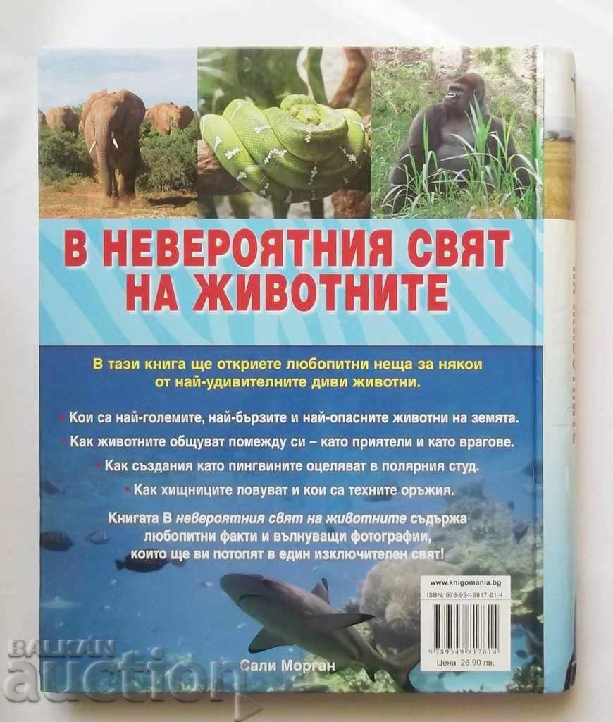 In the Amazing Animal World - Sally Morgan 2009 - 6 In the Amazing Animal World - Sally Morgan 2009 - 6