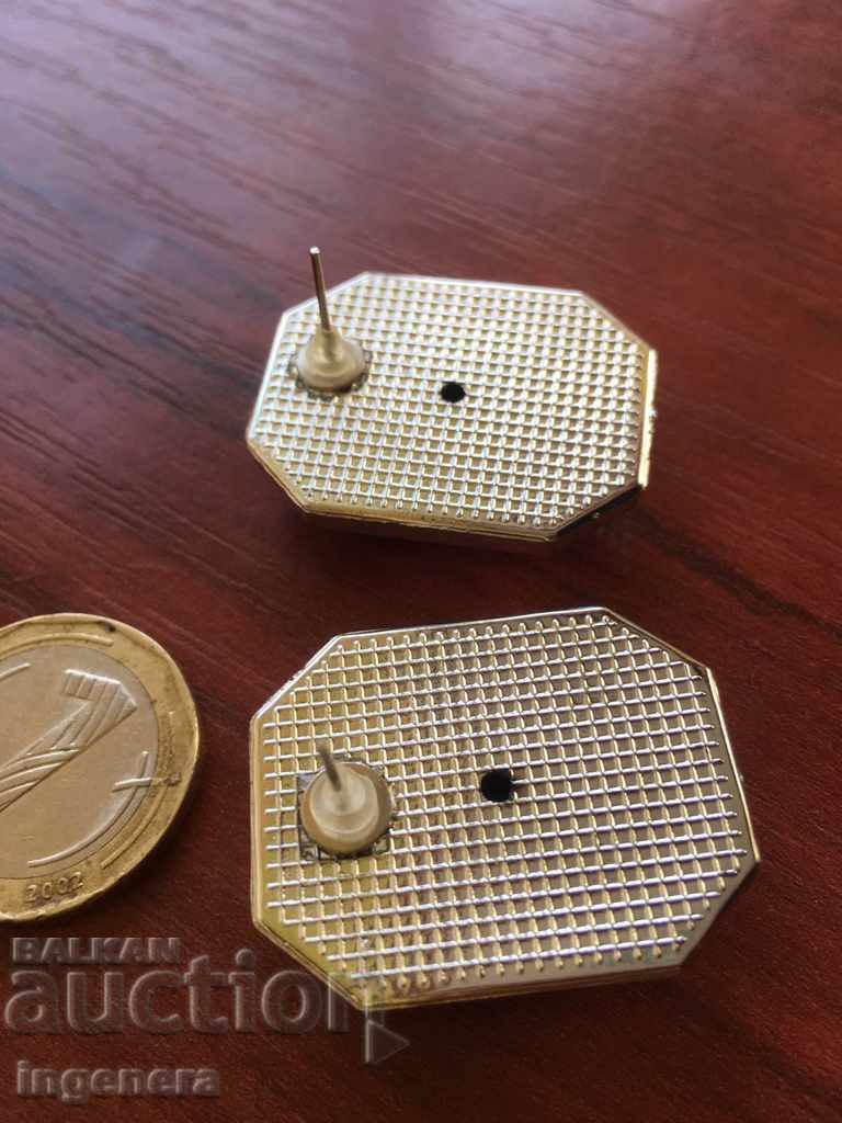 Auction  EARRINGS EARRINGS