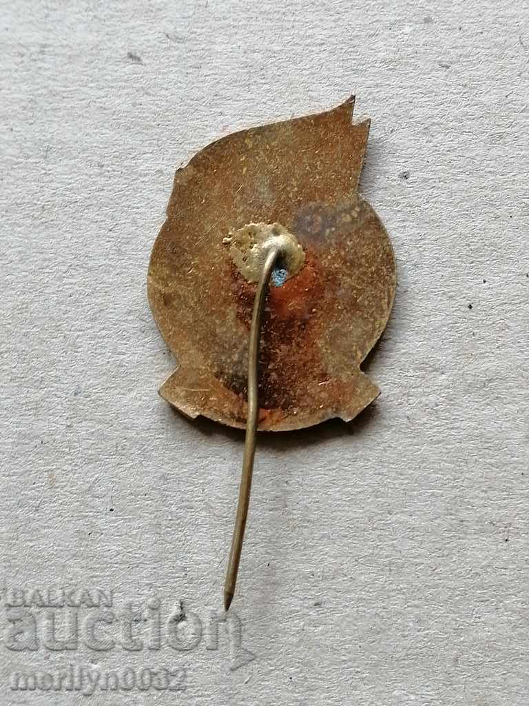 Licitație Insigna de medalii a 50 ani aniversare a Uniunii Europene