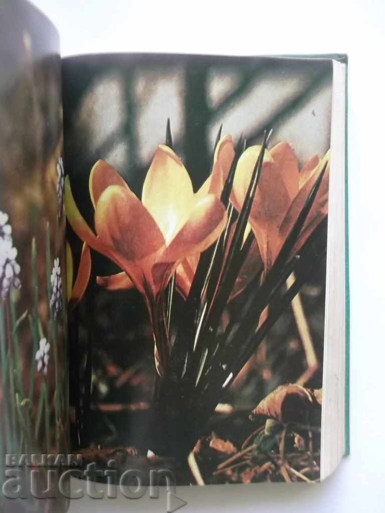 Auction Flora of Dobrudzha - Boris Kitanov, Ivan Penev 1980. Auction Flora of Dobrudzha - Boris Kitanov, Ivan Penev 1980.