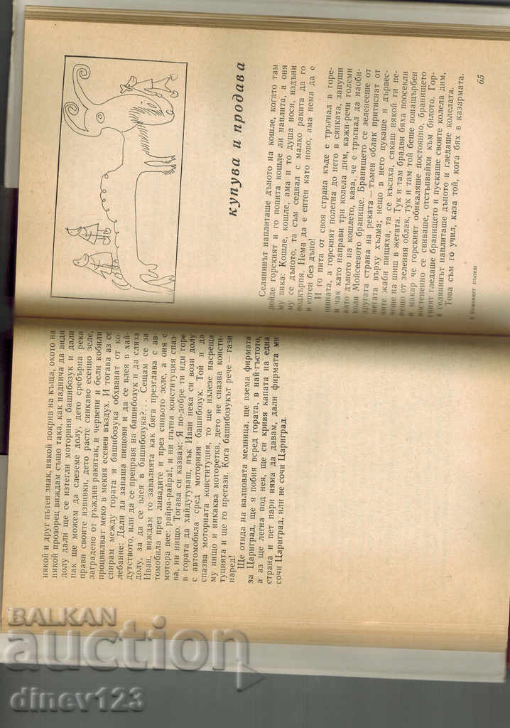 LEATHER MUSHROOM - YORDAN RADICHKOV with price 5.00 BGN | € 2.56 LEATHER MUSHROOM - YORDAN RADICHKOV with price 5.00 BGN | € 2.56