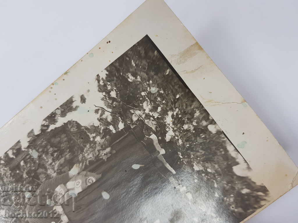 Rare Bulgarian Royal Revival photography of women with bow ties - 6