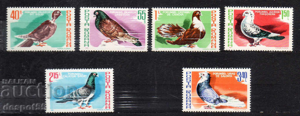 1981. Румъния. Птици - Гълъби.