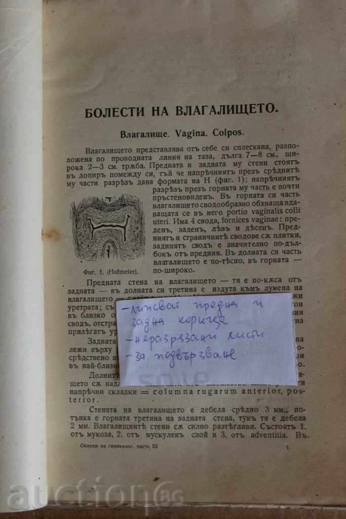 . 1933 BASICS OF GYNECOLOGY TUTORIAL GYNECOLOGY MEDICINE - 5 . 1933 BASICS OF GYNECOLOGY TUTORIAL GYNECOLOGY MEDICINE - 5