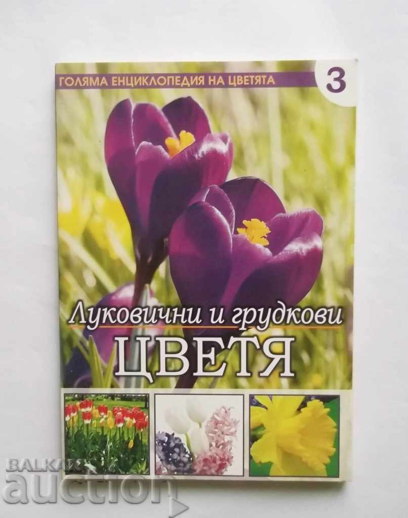 Голяма енциклопедия на цветята. Том 3: Луковични и грудкови