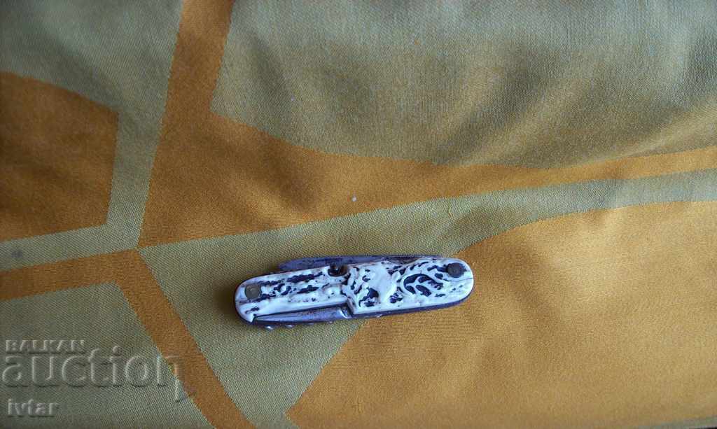 Picior german - 2 - 6