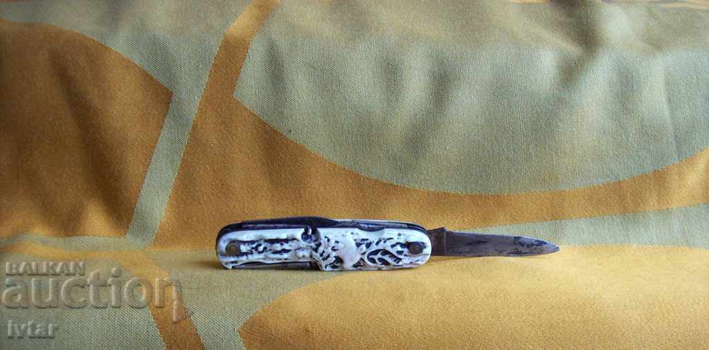 Picior german - 2 - 7