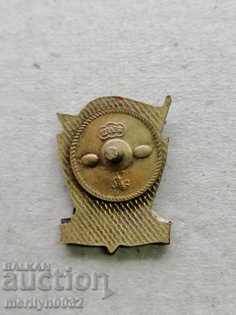 Auction Breastplate MIA Medal Badge Auction Breastplate MIA Medal Badge