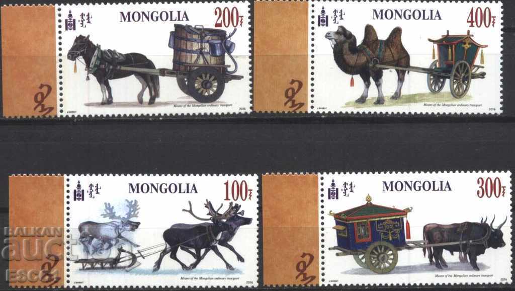Mărci pure Transport de animale cai 2016 din Mongolia