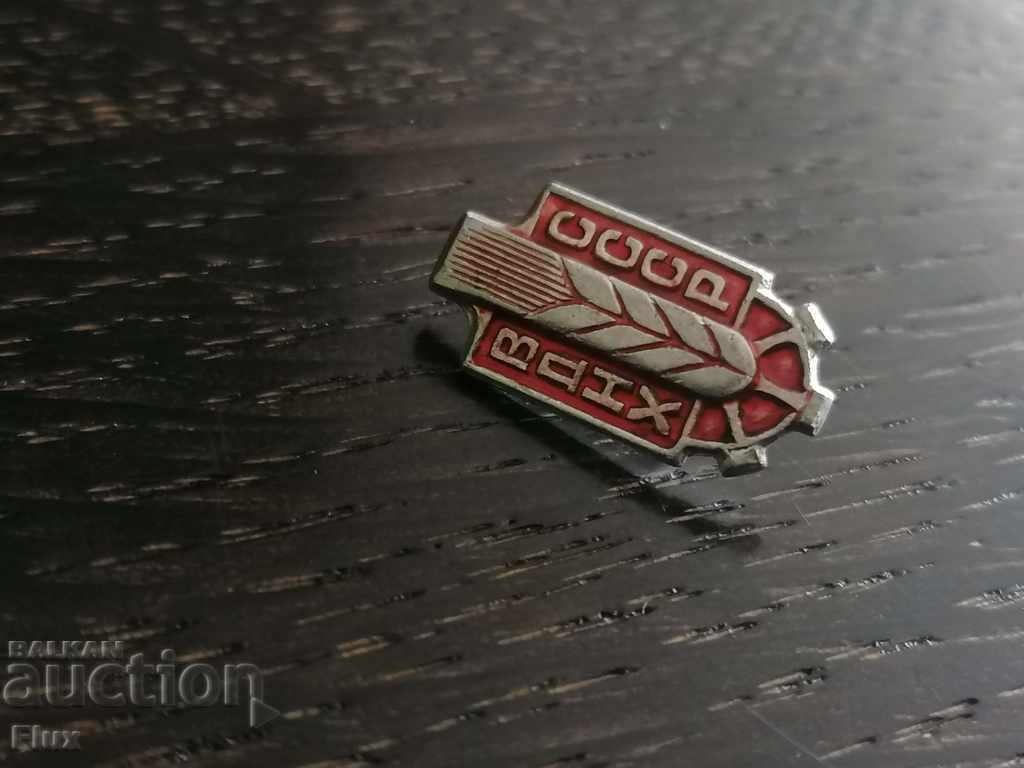 Licitație Insigna - Rusia (URSS) - VDNKH Licitație Insigna - Rusia (URSS) - VDNKH