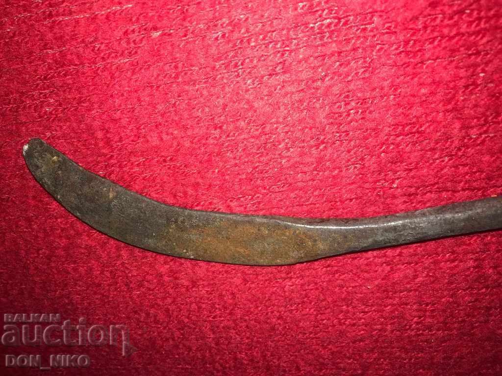 Auction GIRL Auction GIRL