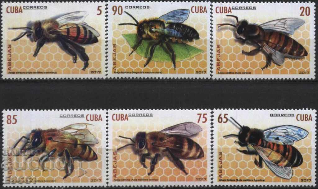 Καθαρή φασόλια Fauna Bees 2017 από την Κούβα