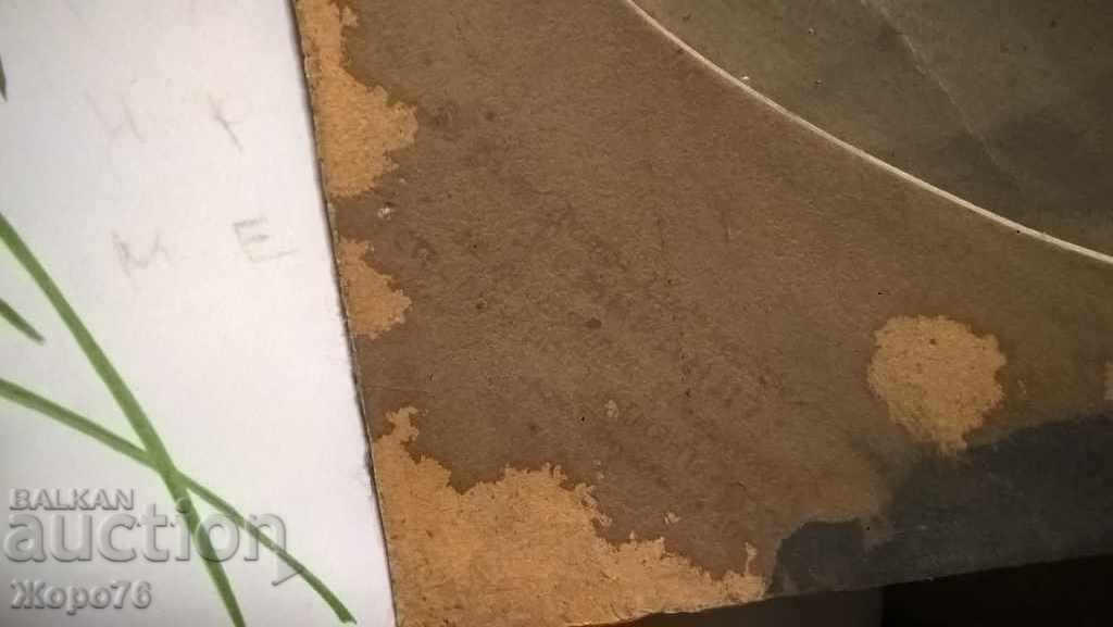 Delivery of KINGDOM OF BULGARIA PHOTO PORTRAIT OF A LADY Atelier REMBRAND Sofia Delivery of KINGDOM OF BULGARIA PHOTO PORTRAIT OF A LADY Atelier REMBRAND Sofia