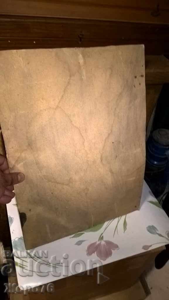 KINGDOM OF BULGARIA PHOTO PORTRAIT OF A LADY Atelier REMBRAND Sofia - 5 KINGDOM OF BULGARIA PHOTO PORTRAIT OF A LADY Atelier REMBRAND Sofia - 5