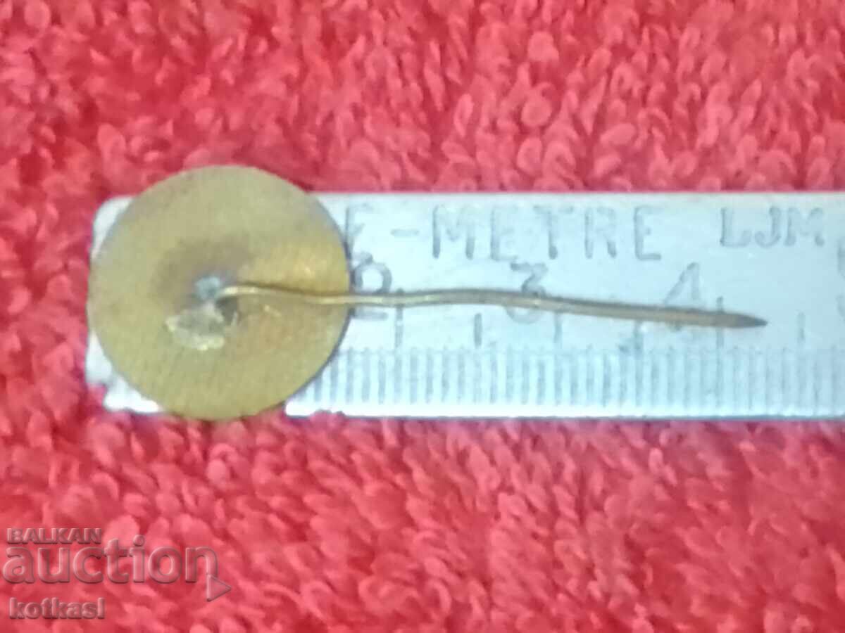 Old social badge TNTM KARDJALI enamel bronze pin with price 25.50 BGN | € 13.04 Old social badge TNTM KARDJALI enamel bronze pin with price 25.50 BGN | € 13.04