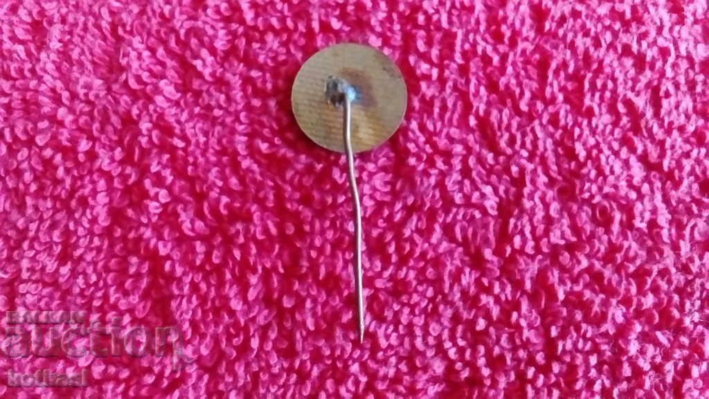 Delivery of Old social badge TNTM KARDJALI enamel bronze pin Delivery of Old social badge TNTM KARDJALI enamel bronze pin